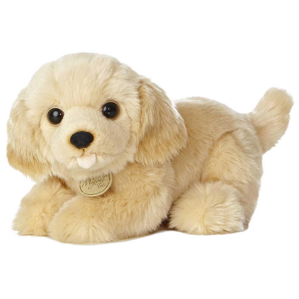 Fluffy baby best sale golden retriever