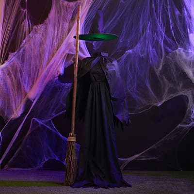 Animated Invisible Witch