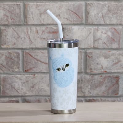 Owl 22 oz. Tumbler With Straw