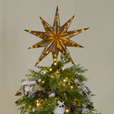 Lighted Star Tree Topper