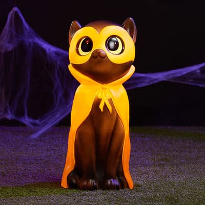 Cat Blow Mold