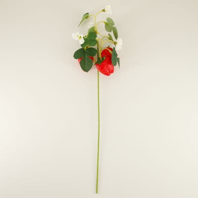 Floral Strawberry Stem