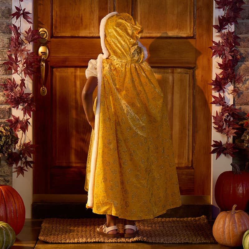 cracker barrel princess dress Golden Princess with Cape Costume