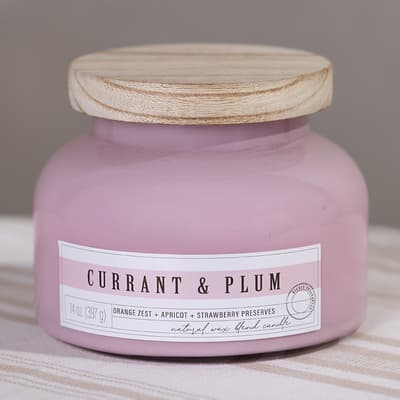 VH Home Fragrance&reg; 14 Oz. Currant and Plum Aurora Jar