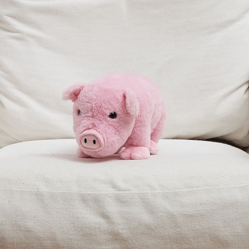 Year of shop the pig plush