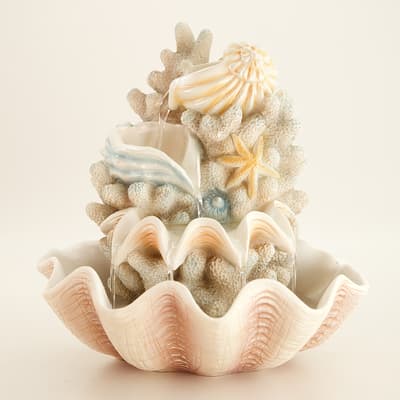 Seashell Fountain
