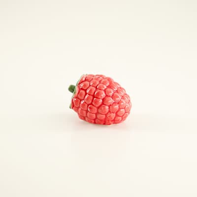Raspberry Mini Salt Shaker