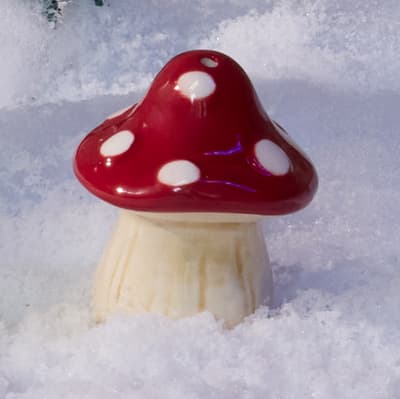 Mushroom Mini Salt Shaker - Red
