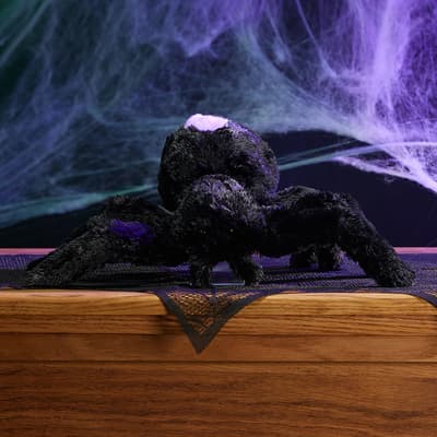 Black and Purple Spider Medium Plush