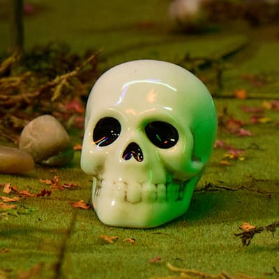 Skull Mini Salt Shaker