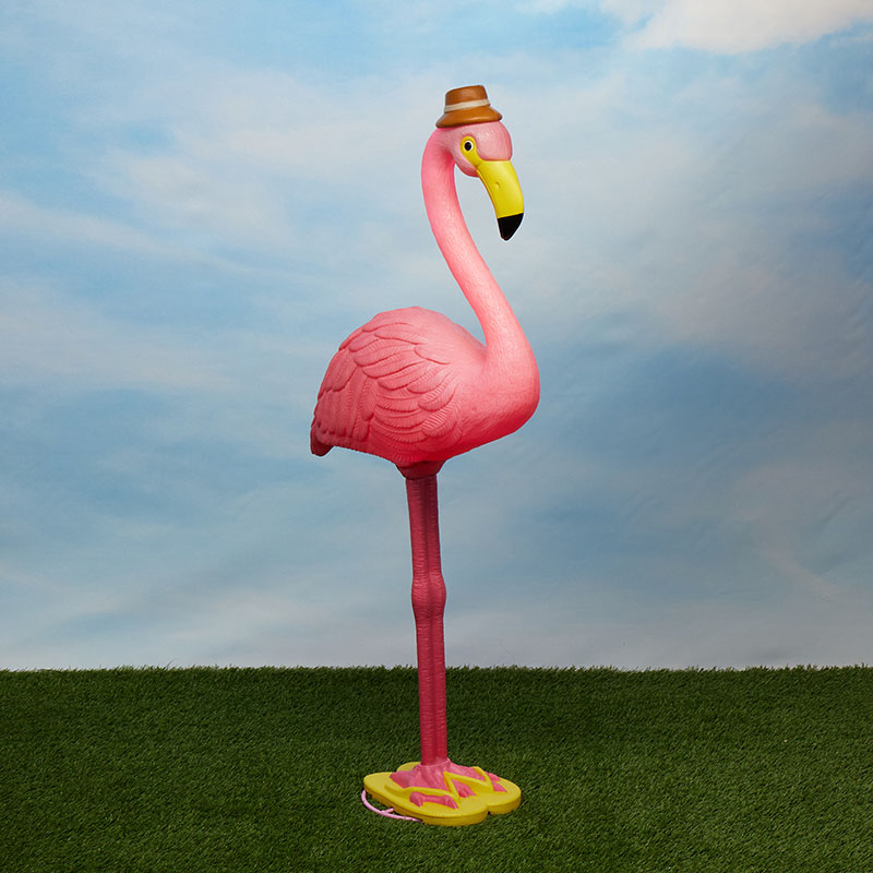 Shop Summer Fun Collection