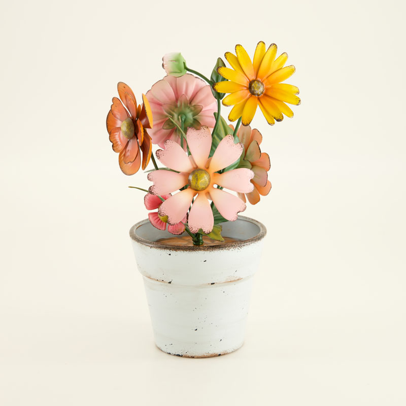 Shop Sanctuary Garden Collection