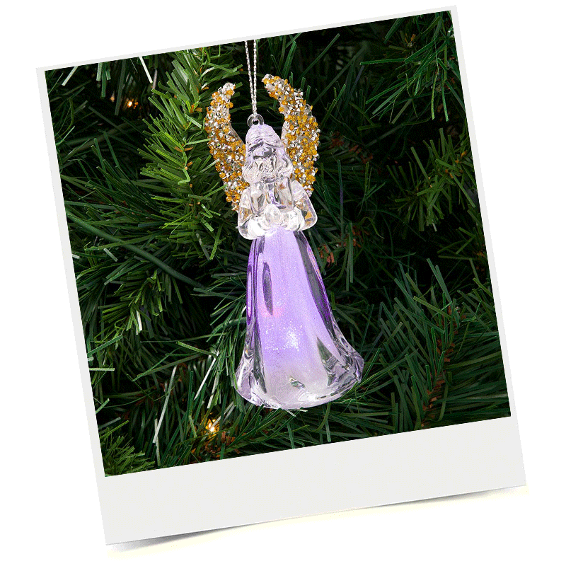 Shop Harvest Collection Snapshot