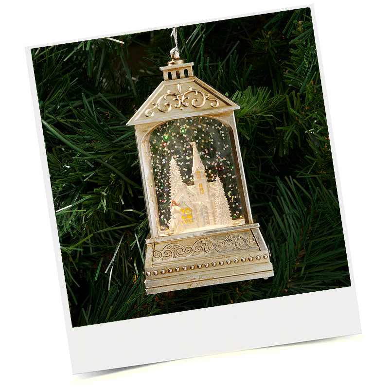 Shop Harvest Collection Snapshot