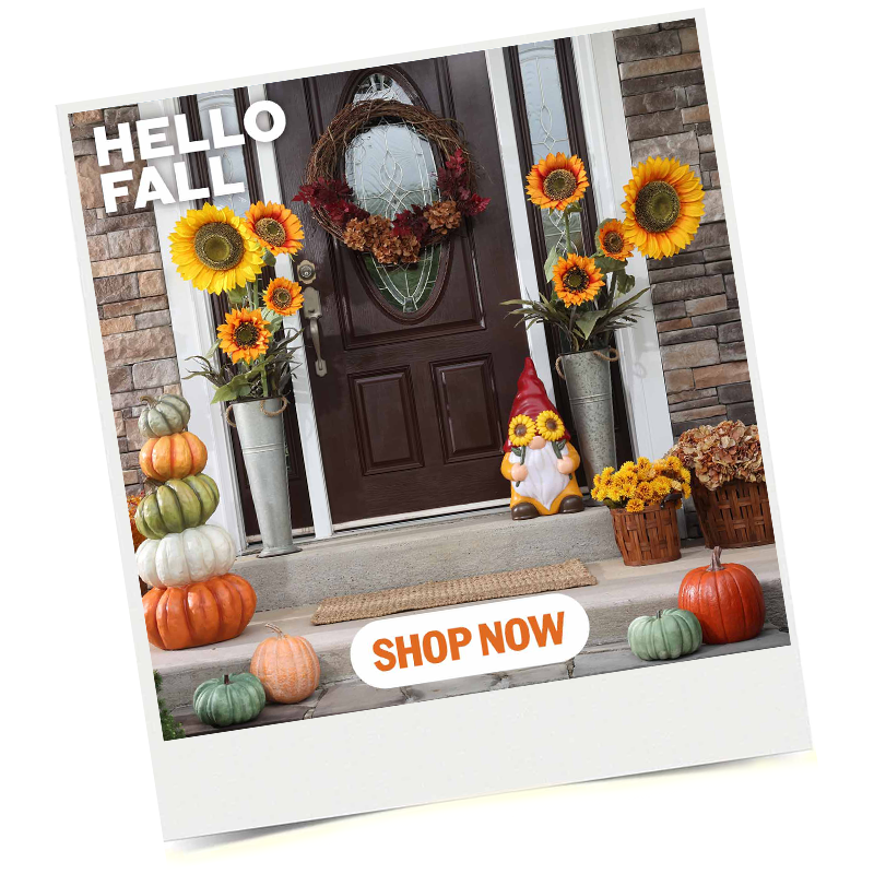 Shop Harvest Collection Snapshot