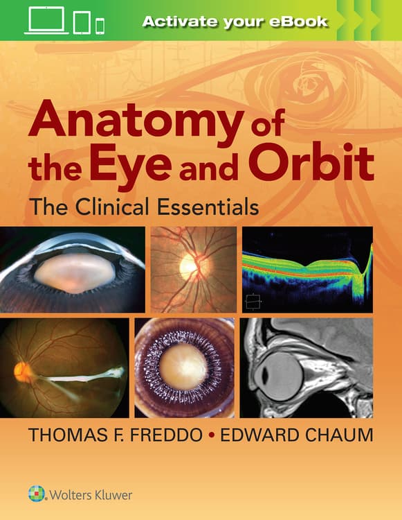 Anatomy of the Eye and Orbit