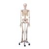 Mr. Plain Skeleton