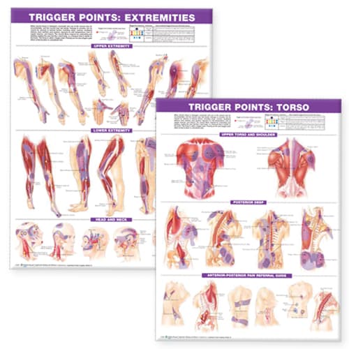 Trigger Point Chart Set: Torso & Extremities  Lam