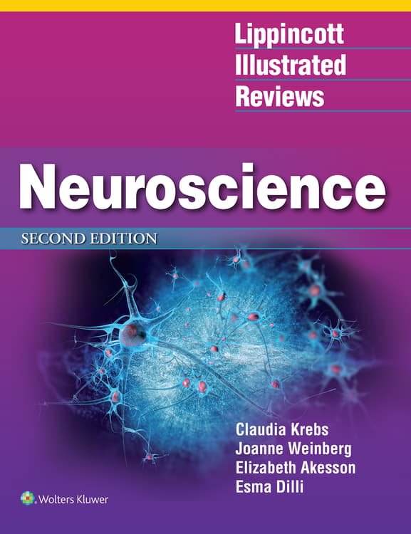 Lippincott Illustrated Reviews: Neuroscience