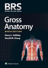 BRS Gross Anatomy