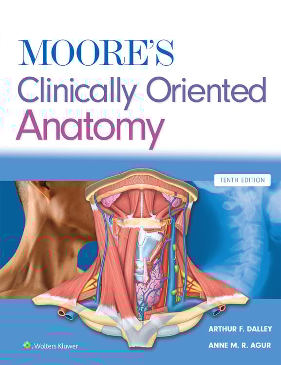 Moore's Clinically Oriented Anatomy