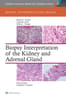 Biopsy Interpretation of the Kidney & Adrenal Gland