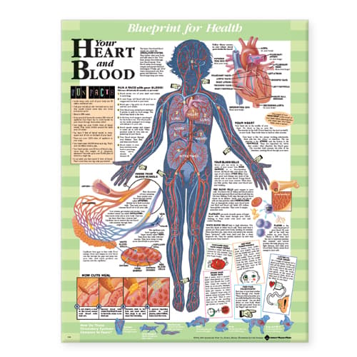 Blueprint for Health Your Heart and Blood Chart