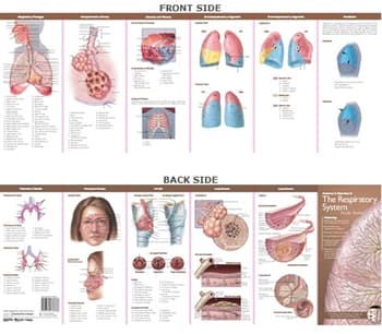 Anatomical Chart Company's Illustrated Pocket Anatomy: Anatomy & Disorders of The Respiratory System Study Guide