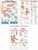 Hand and Wrist, Foot and Ankle, and Carpal Tunnel Syndrome (3) Three Chart Package