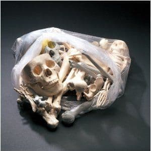 Large Bag of Bones