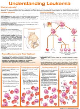 Understanding Leukemia Anatomical Chart