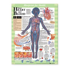 Blueprint for Health Your Heart and Blood Chart