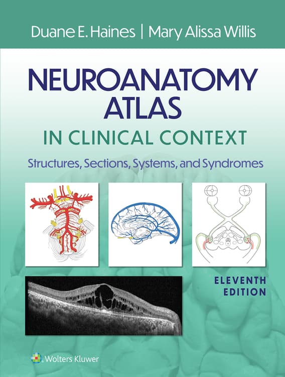 健康・医学 Atlas of Neurosurgical Anatomy Atlas of Neurosurgical Anatomy: The Pterional Perspective