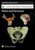 Acland's Anatomy: Pelvis and Perineum