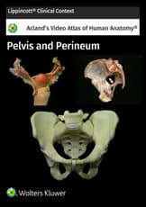 Acland's Anatomy: Pelvis and Perineum