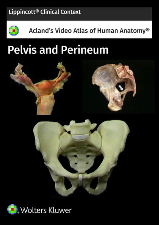 Acland's Anatomy: Pelvis and Perineum
