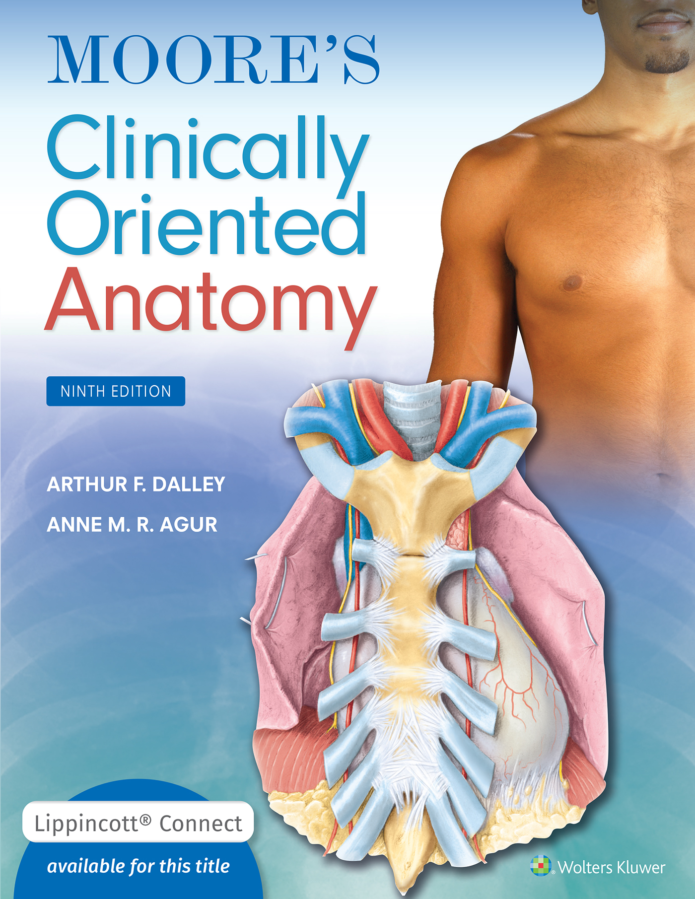 MOORE Clinically Oriented ANATOMY Textbook shops