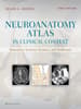 Neuroanatomy Atlas in Clinical Context