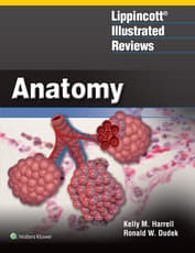 Lippincott® Illustrated Reviews: Anatomy