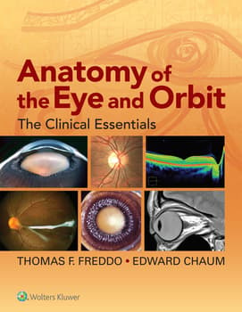 Anatomy of the Eye and Orbit