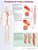 Peripheral Artery Disease Anatomical Chart