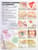 Understanding Allergies Anatomical Chart