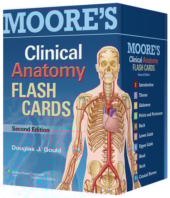 Moore's Clinical Anatomy Flash Cards