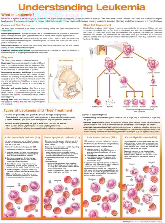 Understanding Leukemia Anatomical Chart