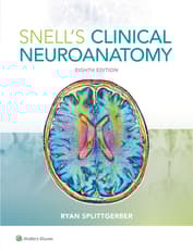 Snell's Clinical Neuroanatomy