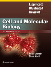 Lippincott Illustrated Reviews: Cell and Molecular Biology