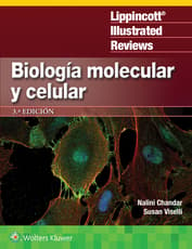 LIR. Biología molecular y celular