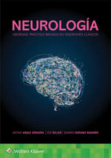 Neurología. Abordaje práctico basado en síndromes clínicos