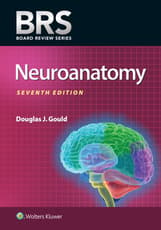 BRS Neuroanatomy