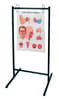 Portable Chart Stand